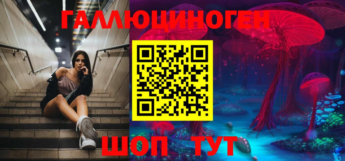 Дзержинский  Галлюциногенные грибы ЛСД  Вход с VPN 